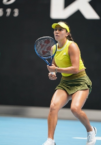 射手准确的 射手准确的