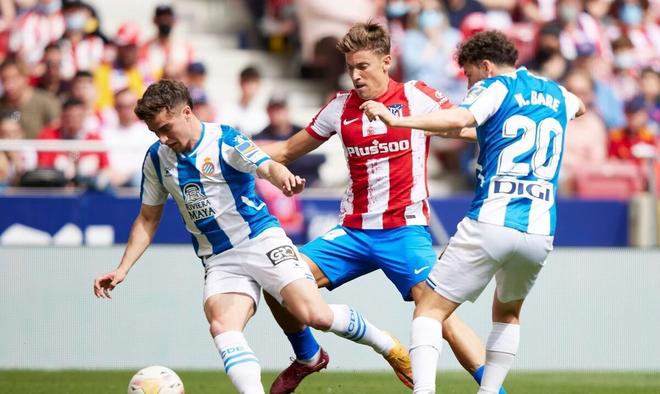 神的体育盛 神的体育盛