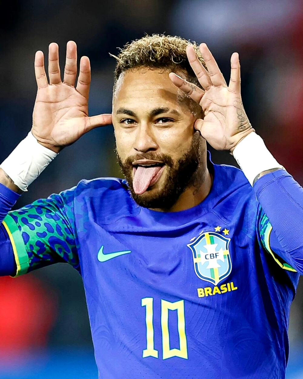 守体系制定 守体系制定