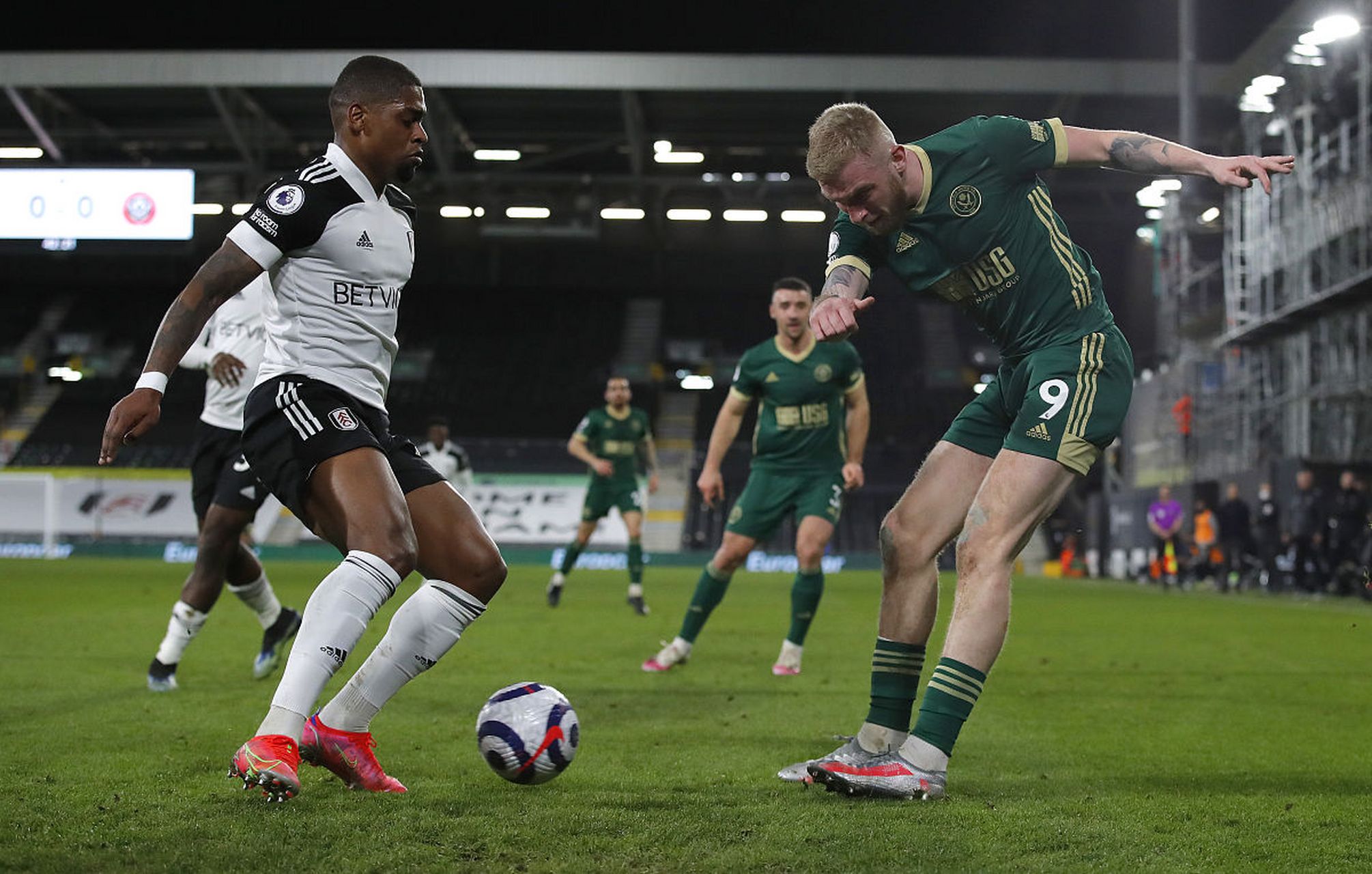 雄鹿外线在 雄鹿外线在